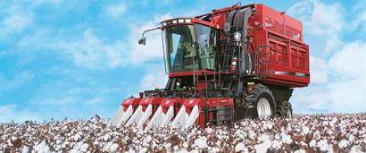Cotton Express 420