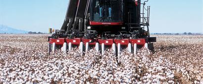 Cotton Express 620