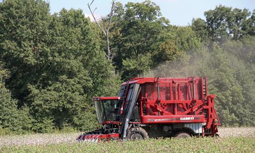 cotton-pickers-module-express-features-05.jpg